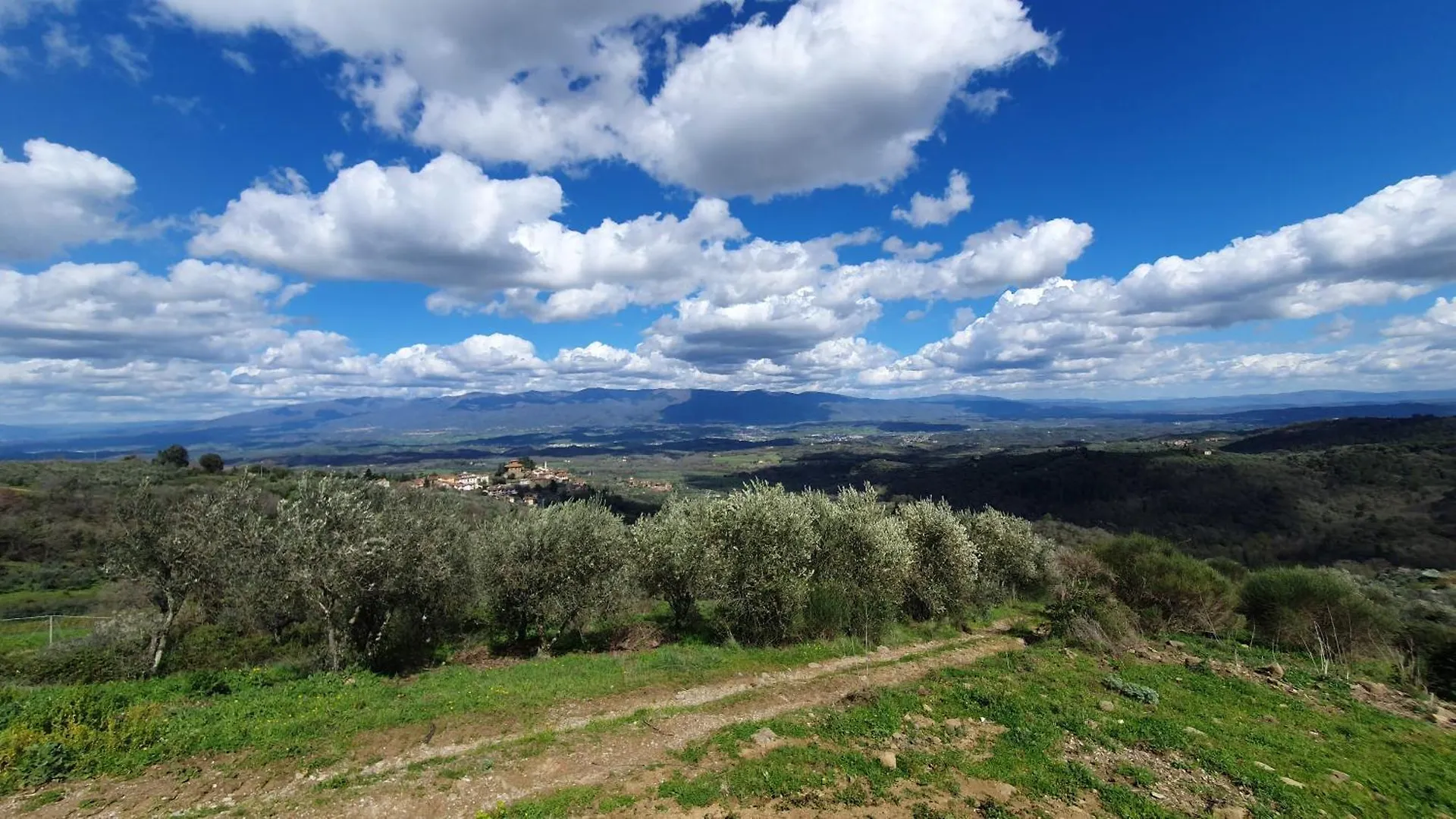 Holiday home Casa Di Laura In Chianti - Large & Charming House Villa Moncioni